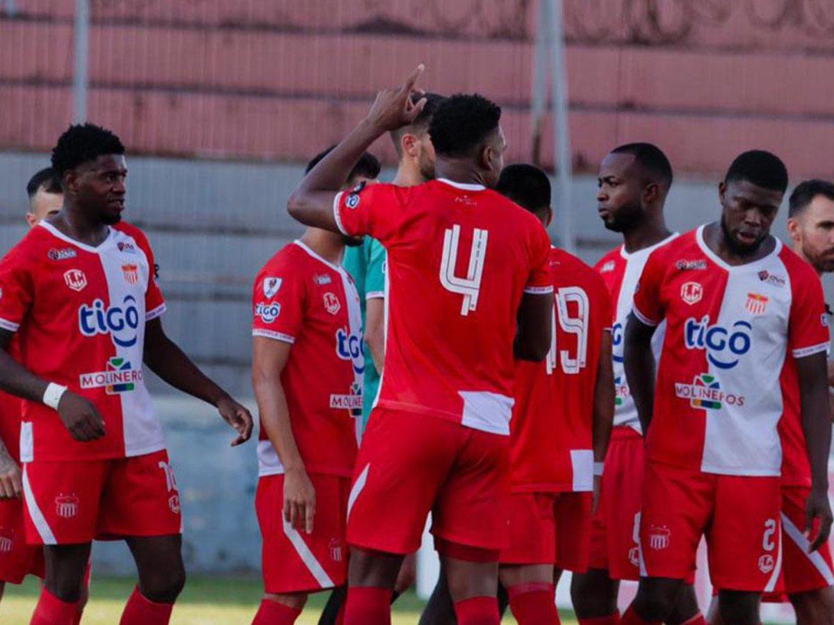 El Vida no desaparece: Los cocoteros ven la luz tras días de incertidumbre