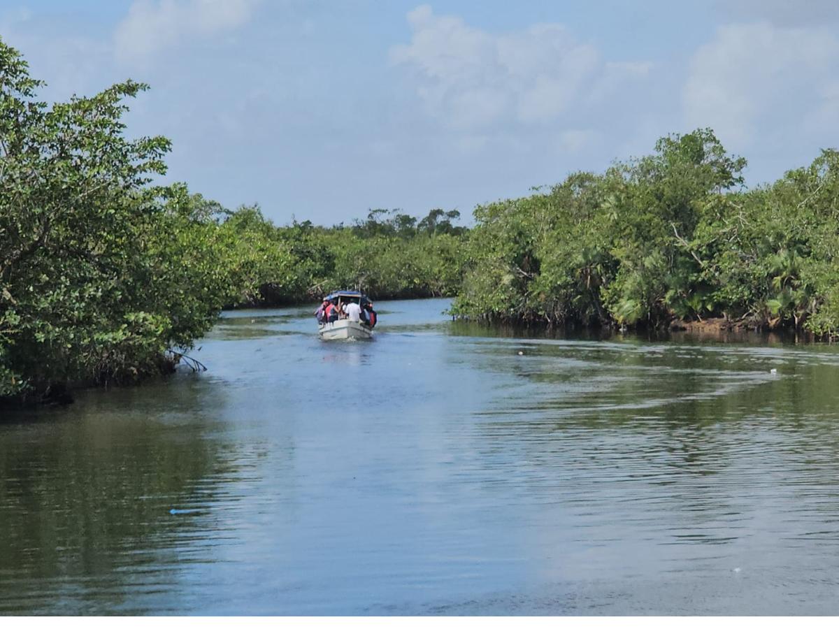 Tragedia en el Caribe: Naufragio deja cuatro muertos y dos desaparecidos