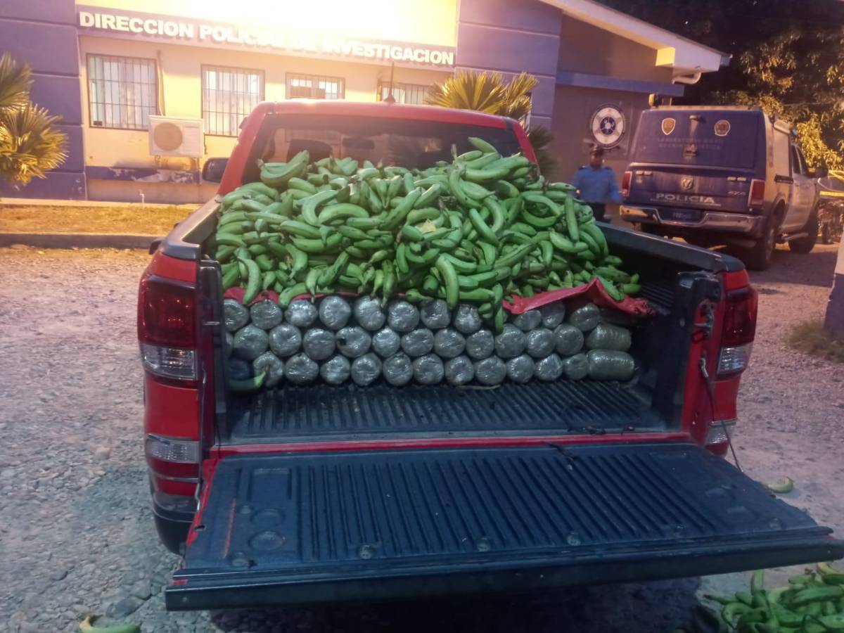 El cargamento de marihuana estaba debajo de unos bananos verdes.