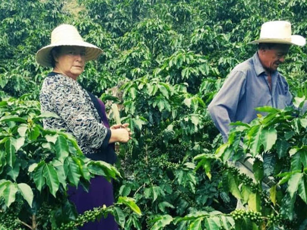 Otro recurso que Capucas está aprovechando es a la productividad de miel.