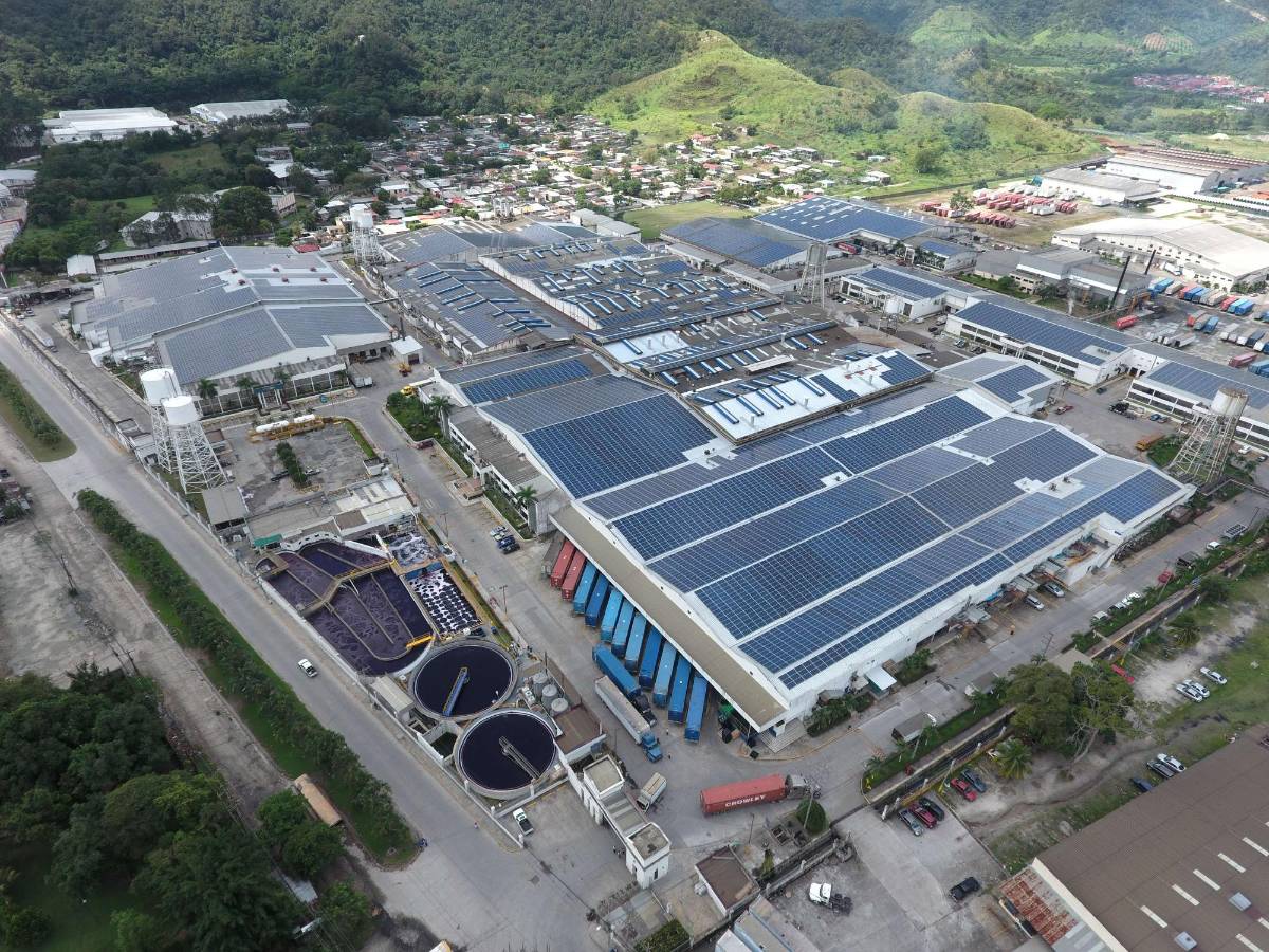 Desconectarse de la Enee proponen altos consumidores