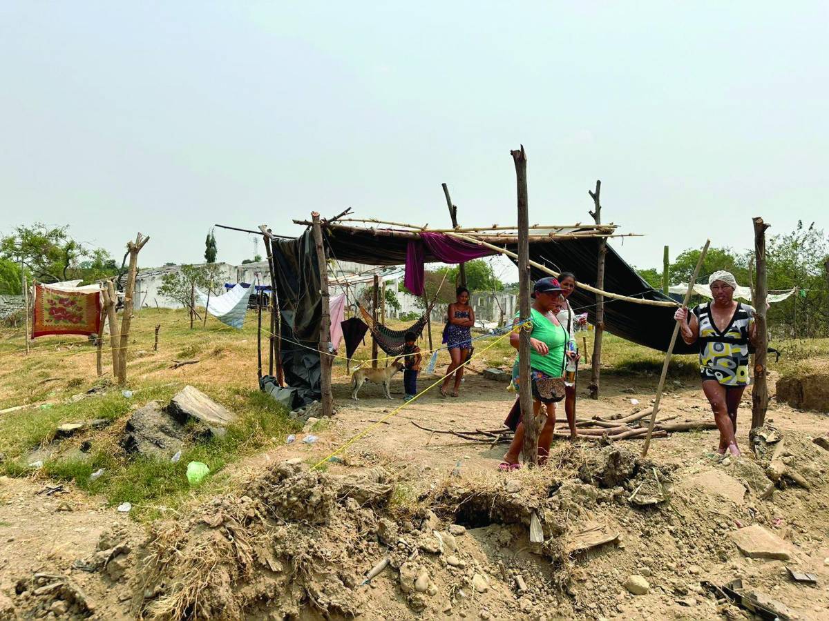 Invaden predio municipal donde funcionó Promuca