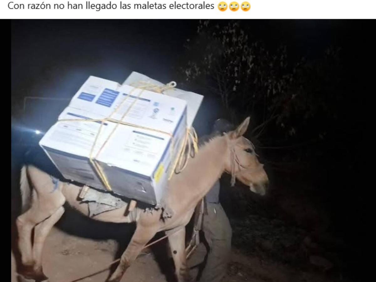Los memes más divertidos del caos electoral en Honduras
