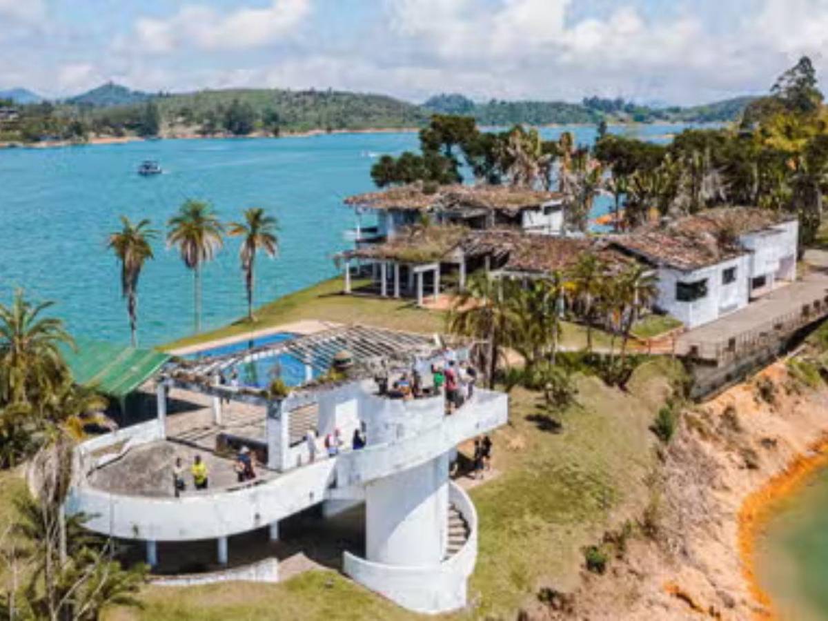 Invasión sin control: los hipopótamos de Pablo Escobar un riesgo para los colombianos