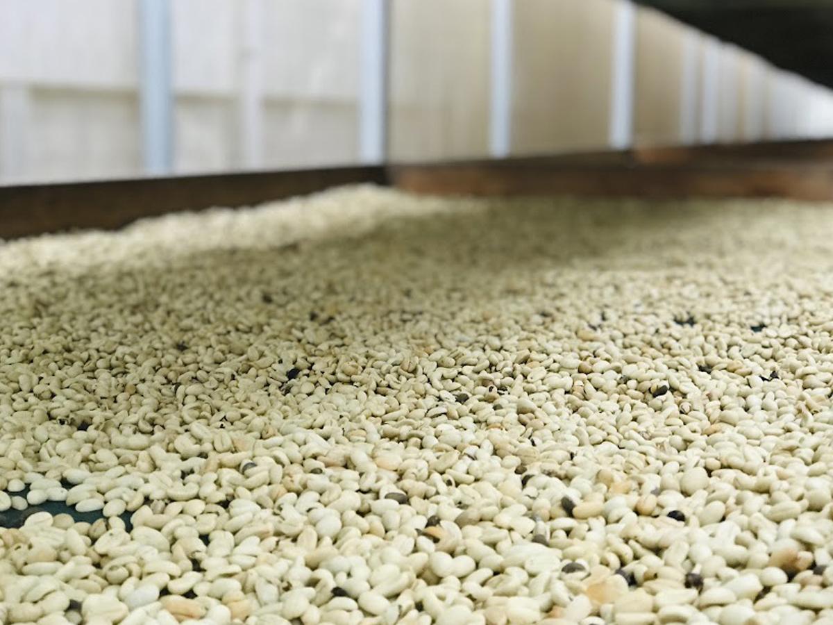 Capucas San Pedro Copán es la sede de esta academia.