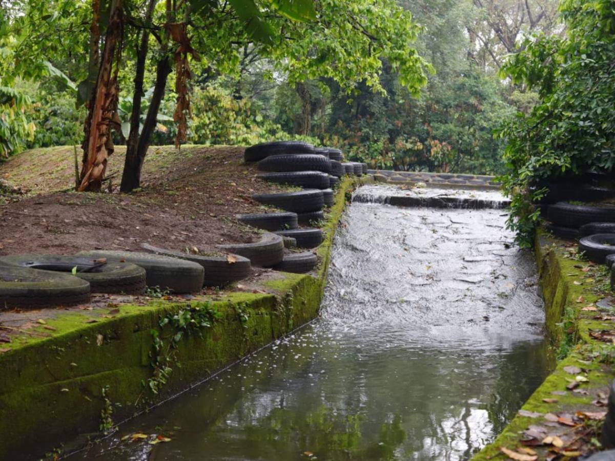 San Pedro Sula tiene su primera Reserva Natural Perpetua