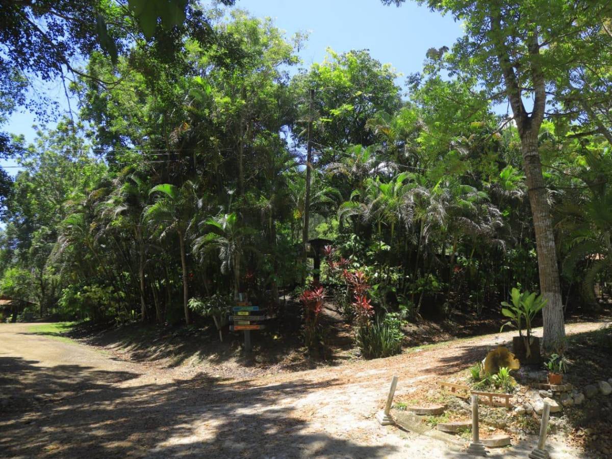 Calan Park y El Ocote: atractivos turísticos que ofrece Villanueva