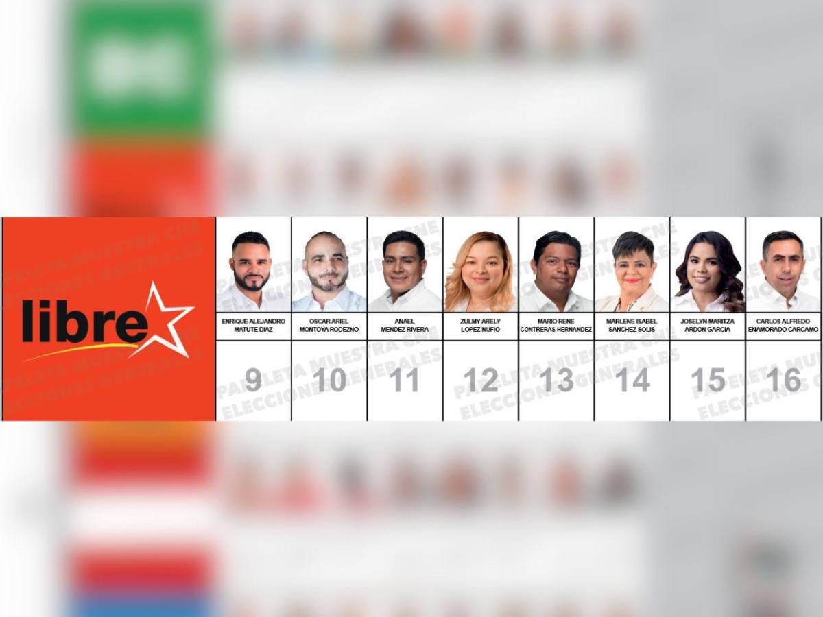 Ocho diputados de Atlántida, entre ellos un suplente, buscan seguir en un curul