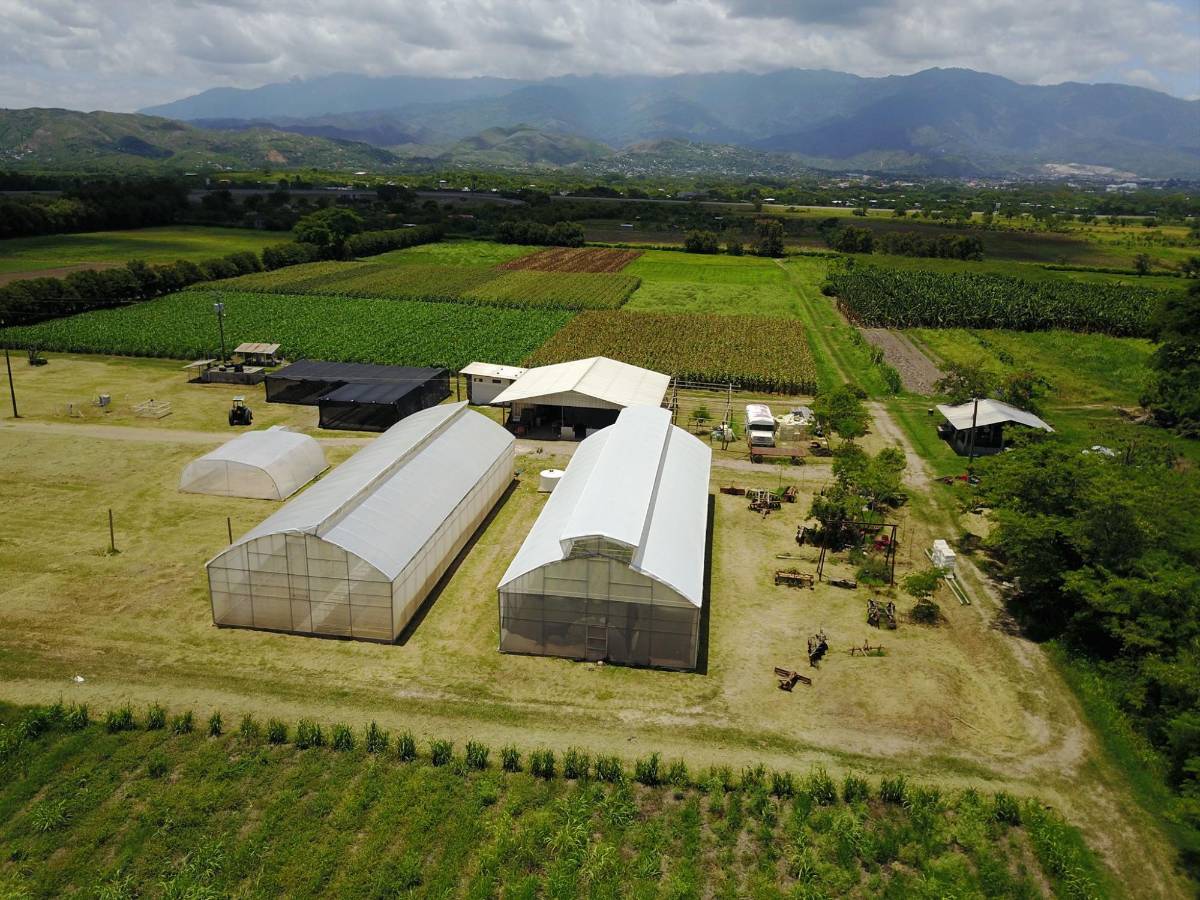 El Centro Experimental Demostrativo de Horticultura (CEDEH), ubicado en la ciudad de Comayagua, será el escenario para la realización de la Expo Honduras Agrícola 2024.