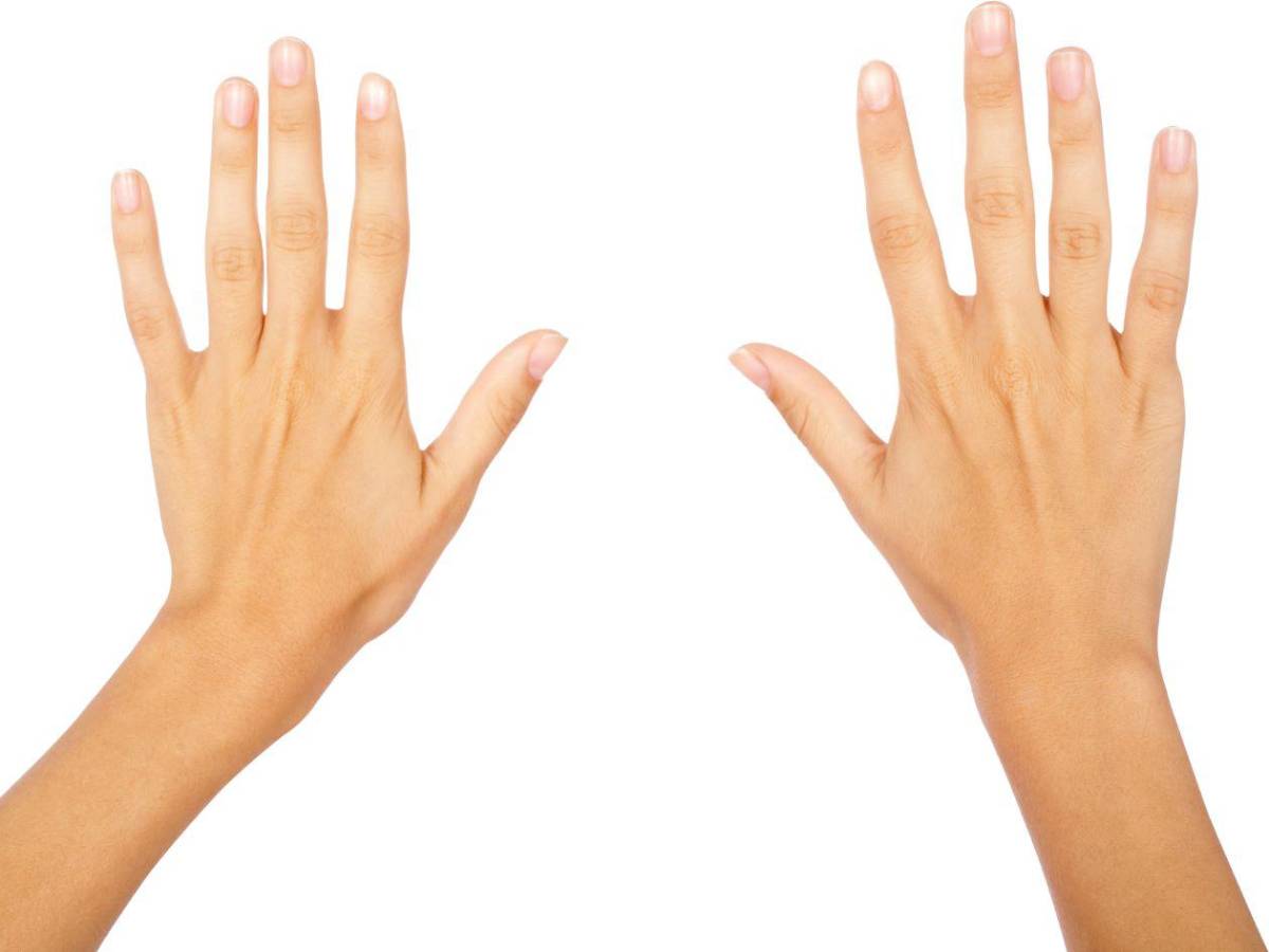 Guía electoral: paso a paso para votar en las elecciones generales