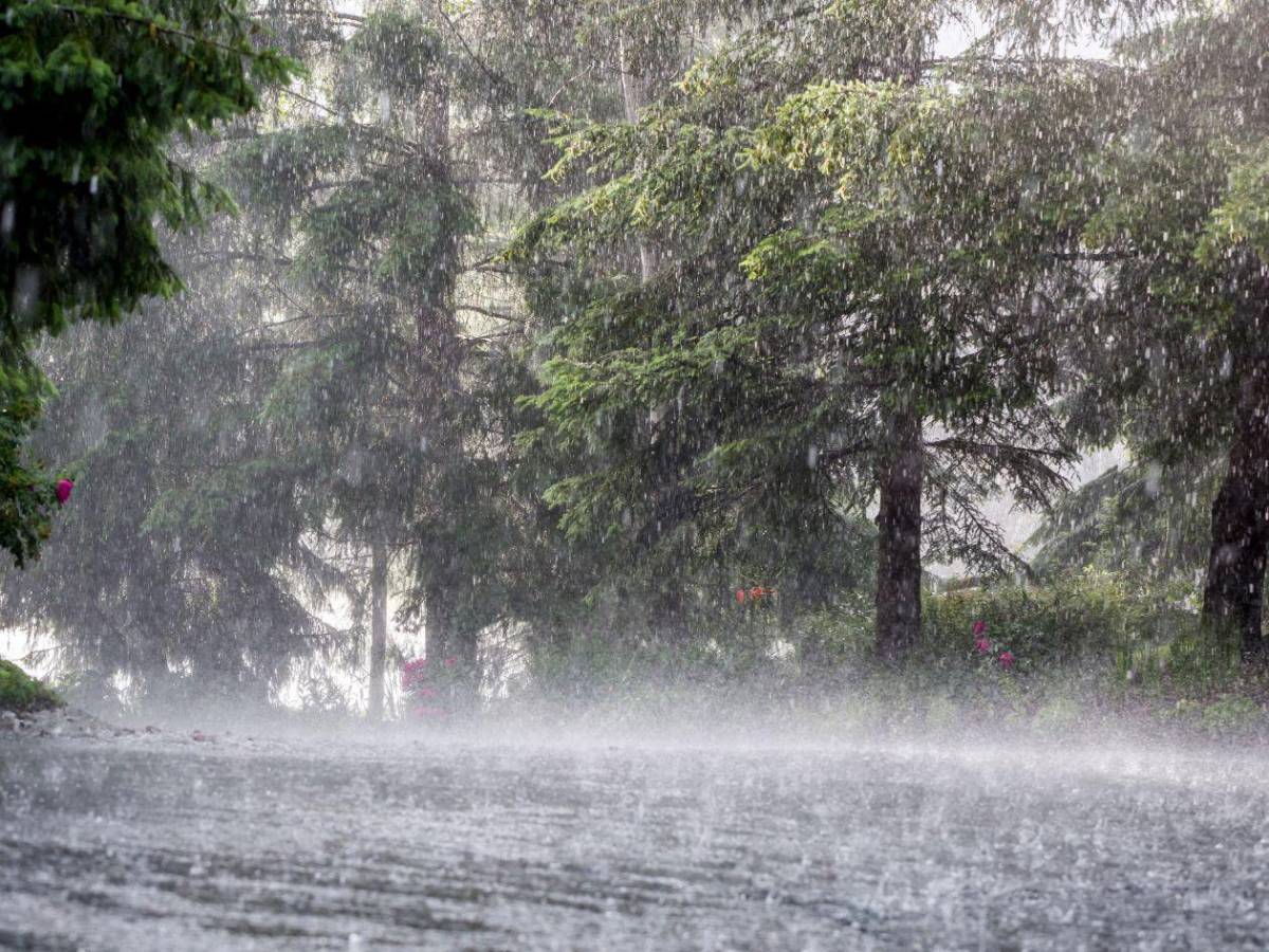 Fenómeno de El Niño ya se formó: NOAA advierte que se fortalecerá
