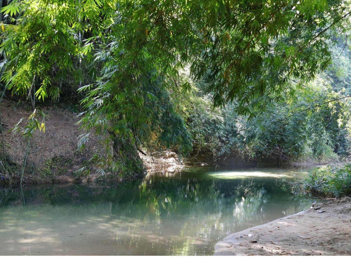 Crece la oferta turística en Tela previo a Semana Santa