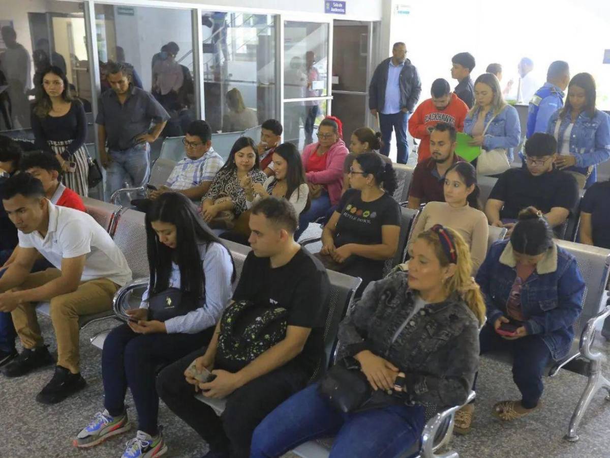 Pasos para reponer la licencia de conducir tras robo o extravío en Honduras