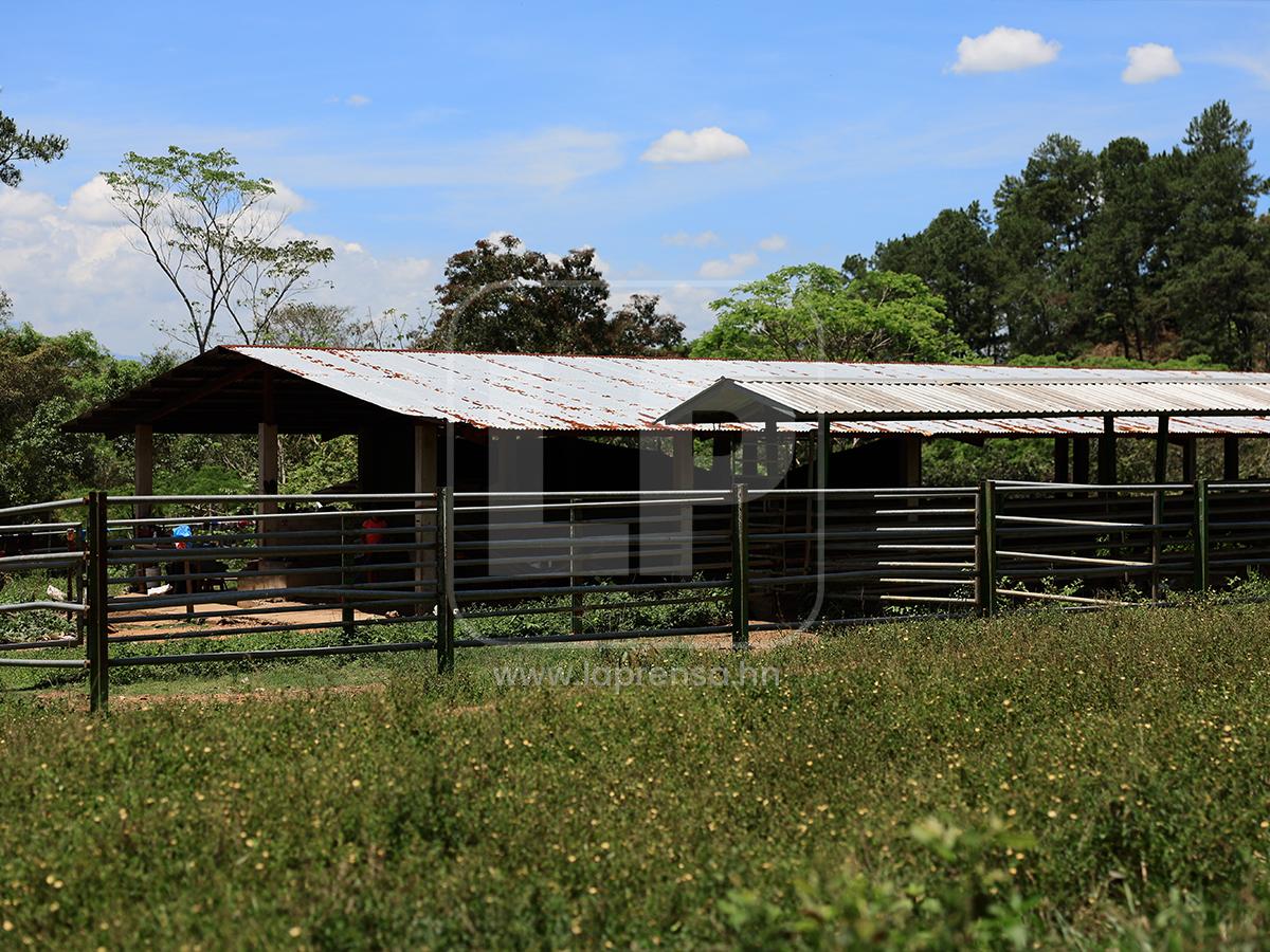 Abandono y deterioro: Así están hoy los bienes de Magdaleno Meza
