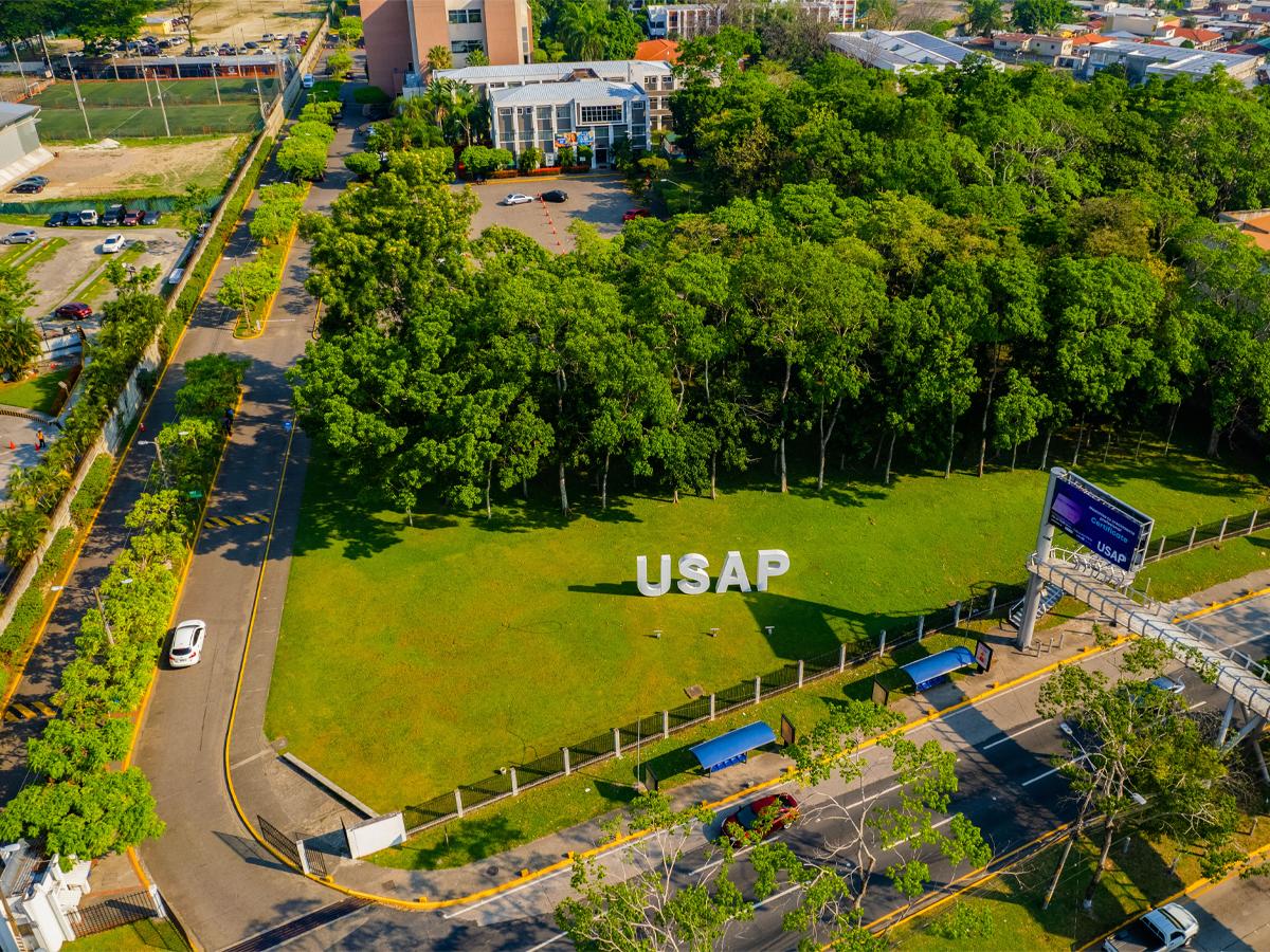 Licenciatura en Ingeniería Comercial de USAP: ingresa con éxito al mundo de los negocios