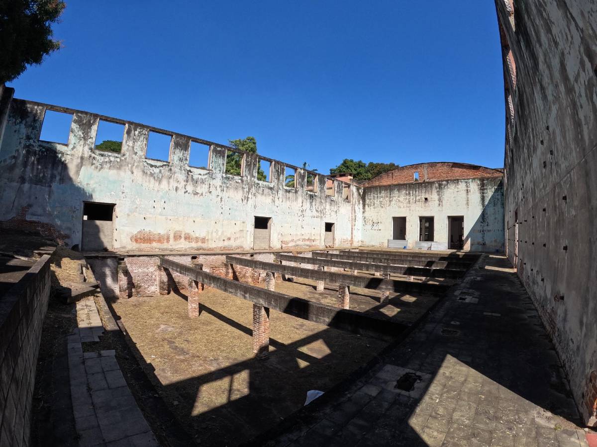 La ministra de Cultura, Annarella Vélez, dijo que están a la espera de una asignación presupuestaria.