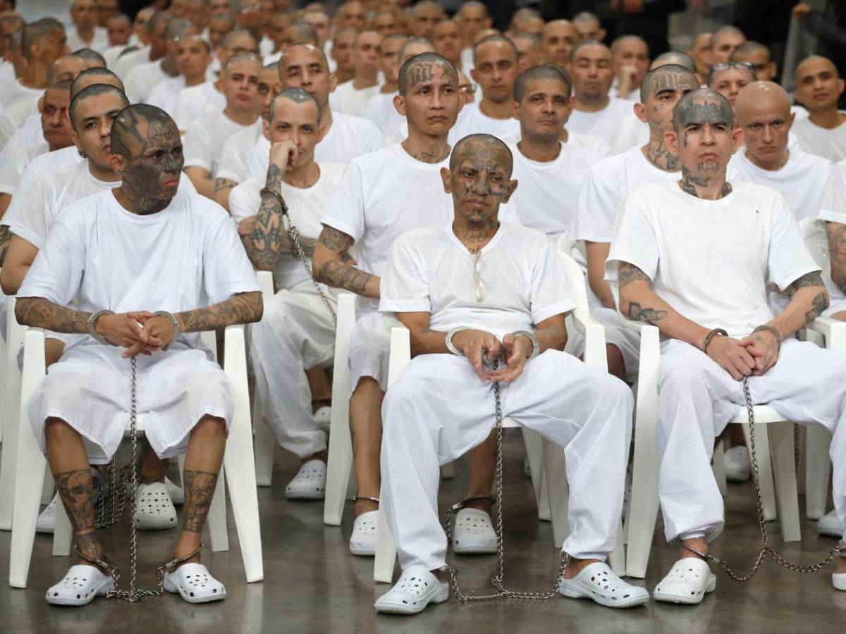 Inédito megajuicio contra más de 400 presuntos pandilleros