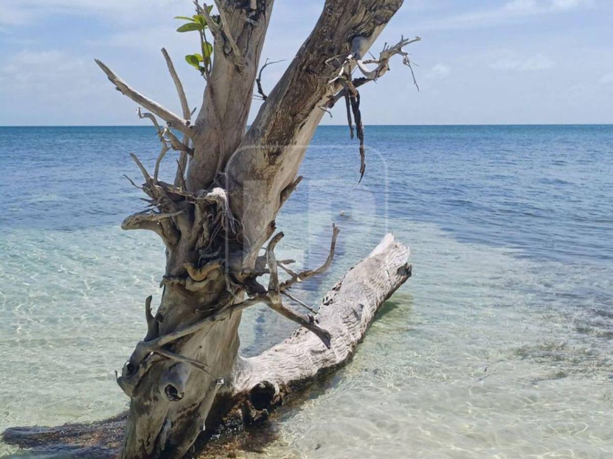 CIJ autoriza a Guatemala intervenir en litigio Belice-Honduras por Cayos Zapotillos