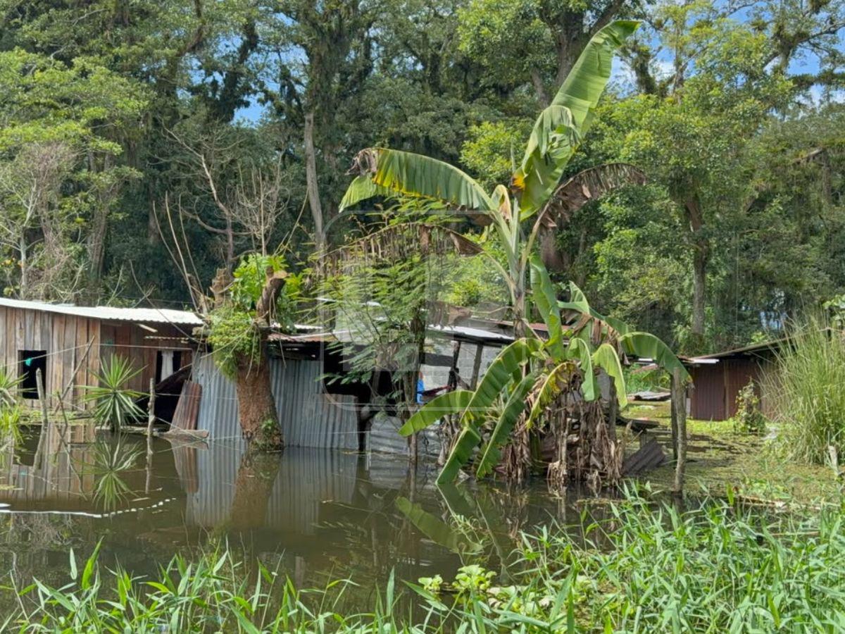 Desbordamiento del Lago de Yojoa deja casas bajo el agua en La Guama