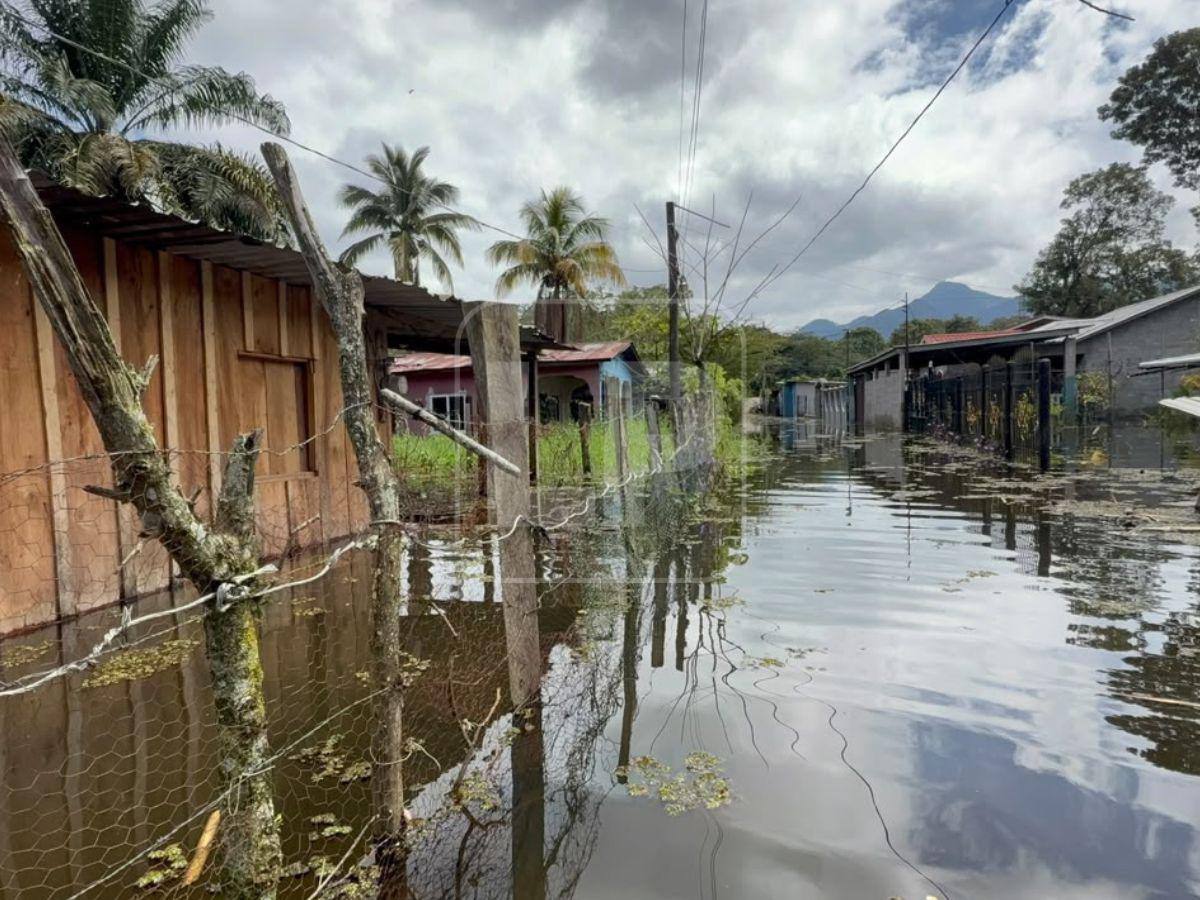 Desbordamiento del Lago de Yojoa deja casas bajo el agua en La Guama