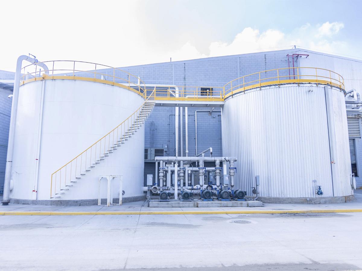 ICCE celebra 33 años, un legado de construcción y compromiso