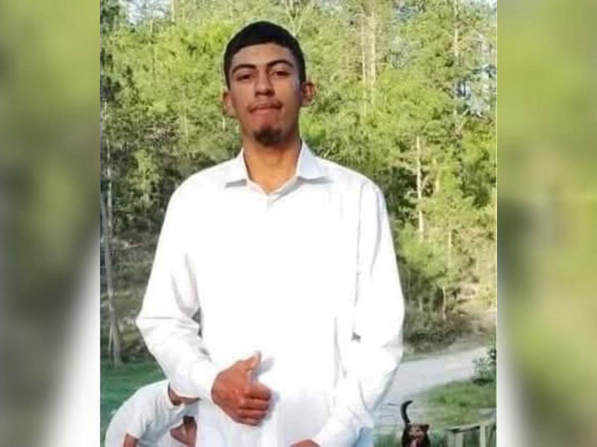 Ambientalista e hijo habrían sido desmembrados con la misma motosierra que usaban taladores