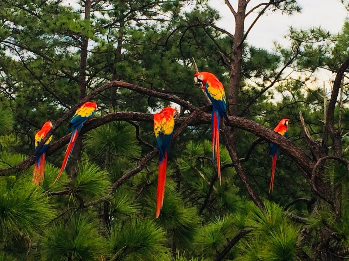 Hotel Villa Verde el mejor lugar para descansar en Gracias Lempira