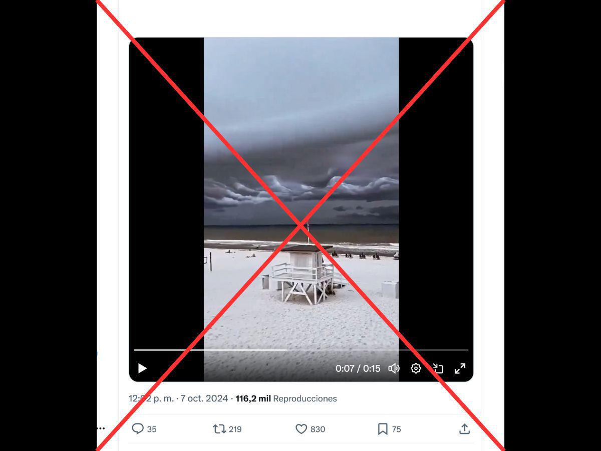 <p>Captura de pantalla a una publicación de TikTok realizada el 8 de octubre de 2024.</p>
