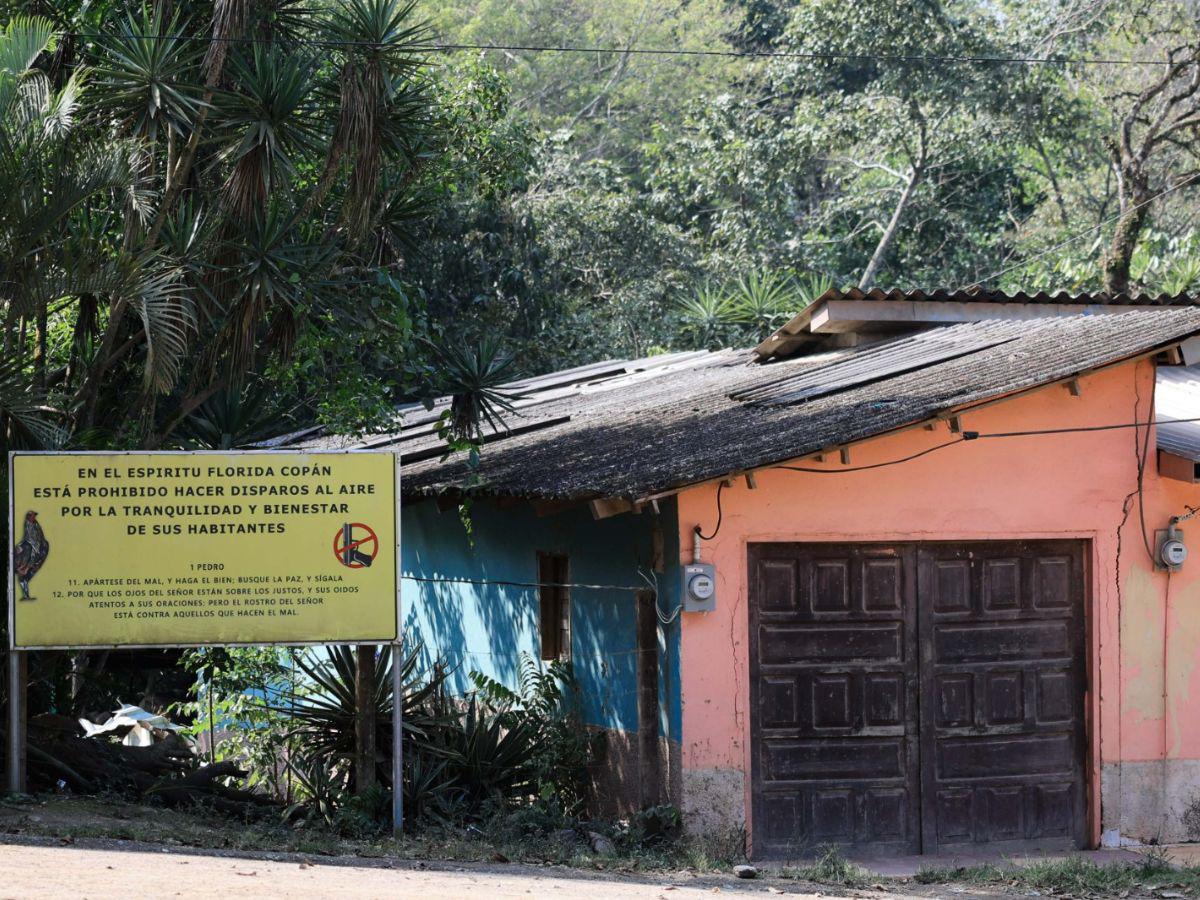 La maleza devora las mansiones de los Valle