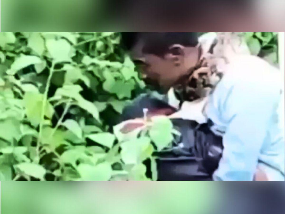 VIDEO: Hombre casi es devorado por una pitón cuando hacía sus necesidades