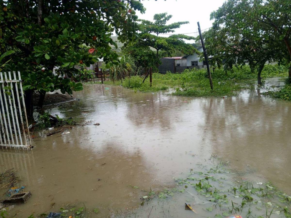 Calles convertidas en ríos: drama de 40 familias en Buena Inversión