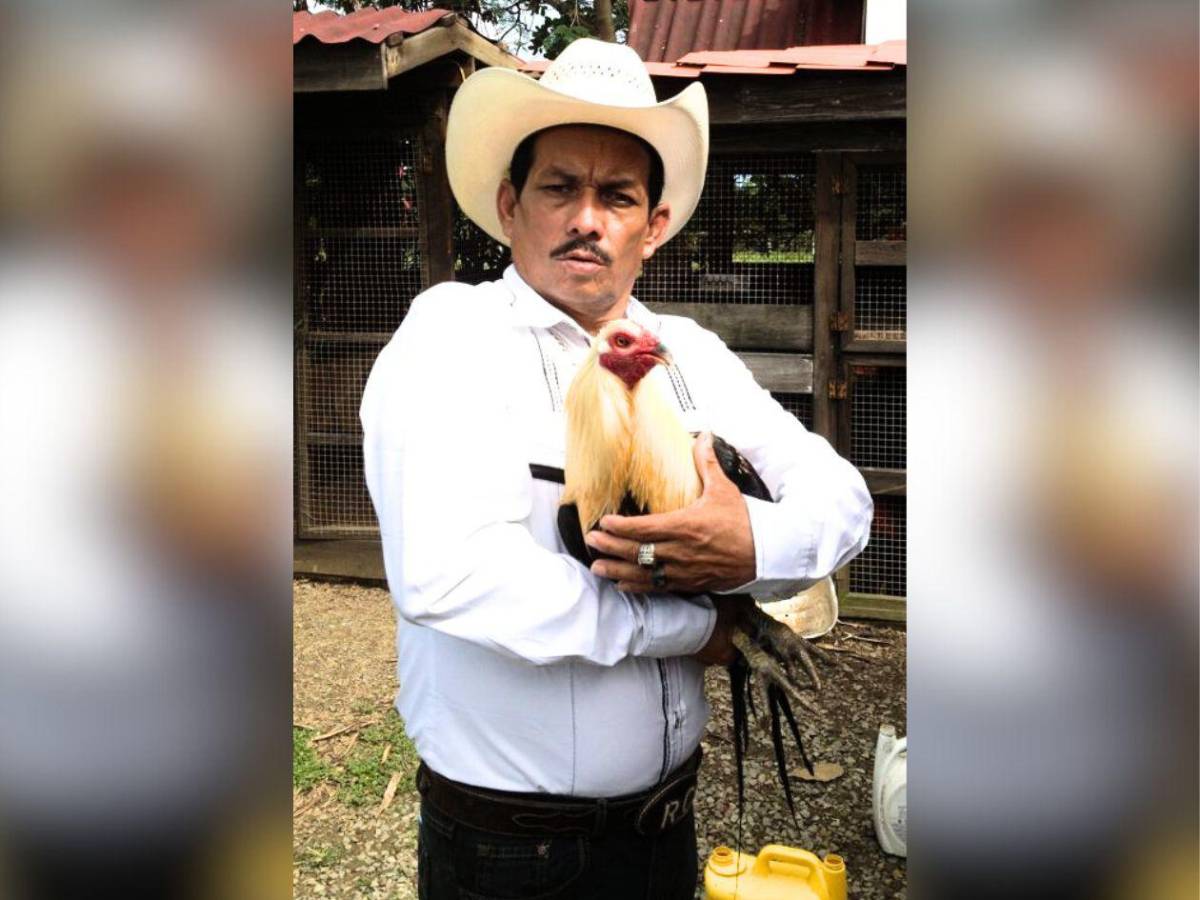 Cuna de oro: ¿qué dice el corrido de El Roble Copaneco a los Valle Valle?