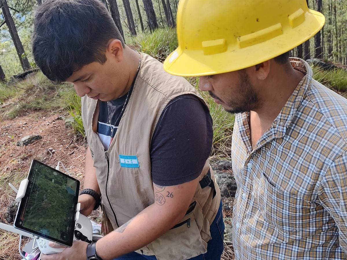 Honduras recibe reconocimiento por su manejo de plagas forestales