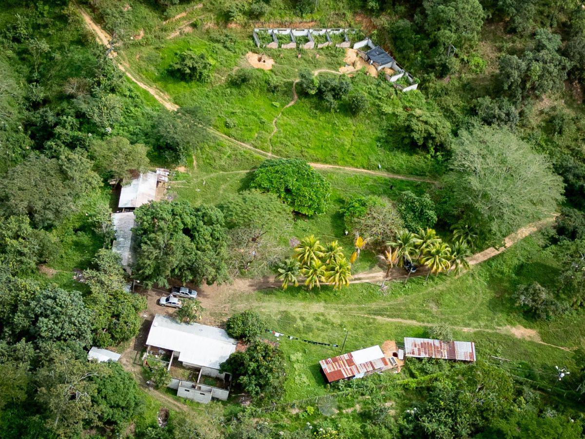 ¿Cómo ocultó Magdaleno Meza los dólares bajo tierra?