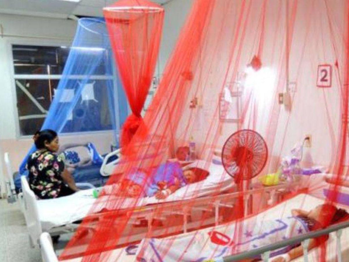 Reportan 61 muertos por dengue y más de 50,000 enfermos en Hoduras