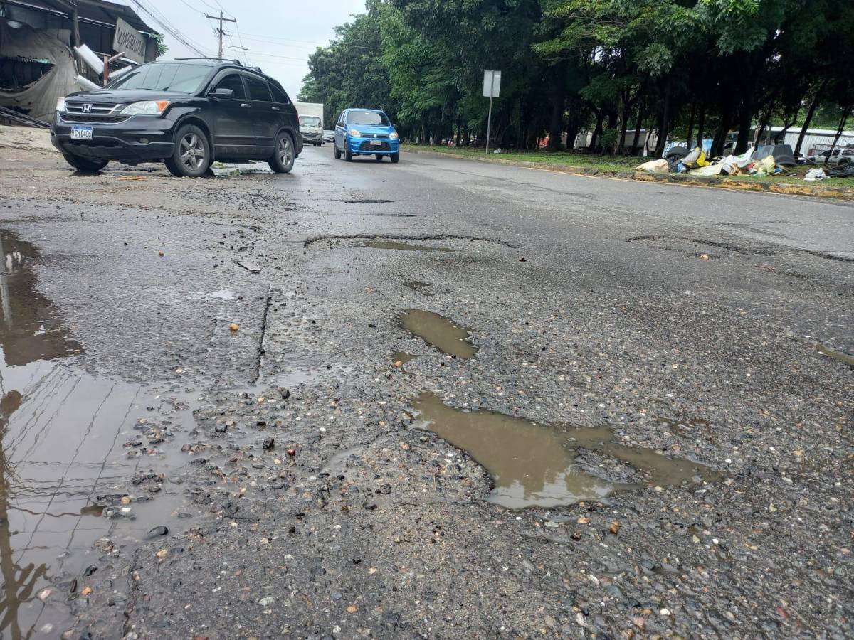 Con llantas y ramas alertan de baches en el segundo anillo de SPS