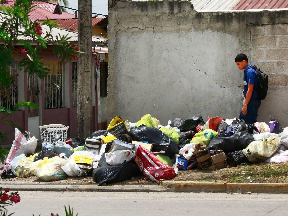 Basura “ahoga a San Pedro Sula, así lucen sus calles