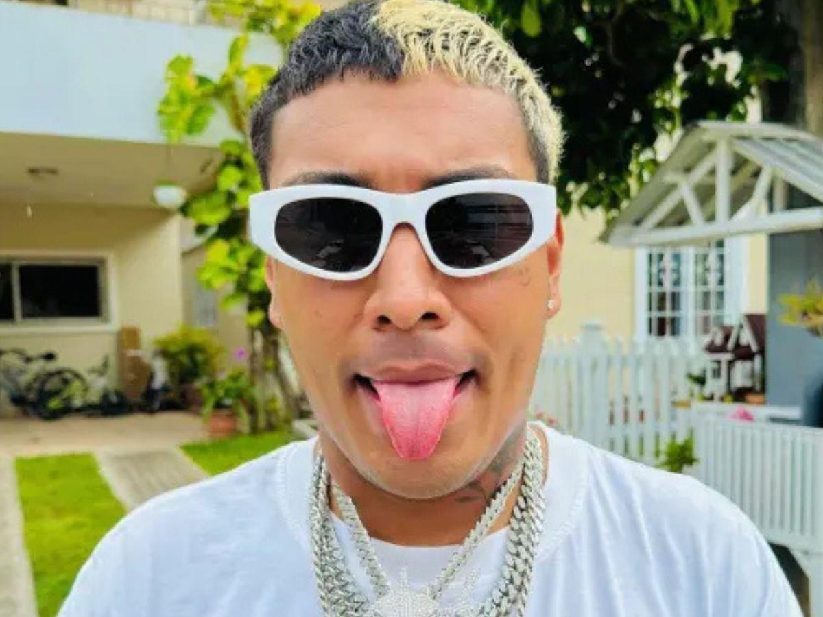 Cámaras de seguridad captan a ladrón en la casa de Supremo