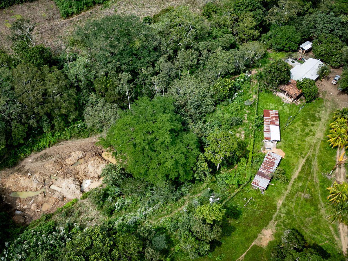 Trabajadores de Magdaleno Meza se robaron $20 millones de caleta