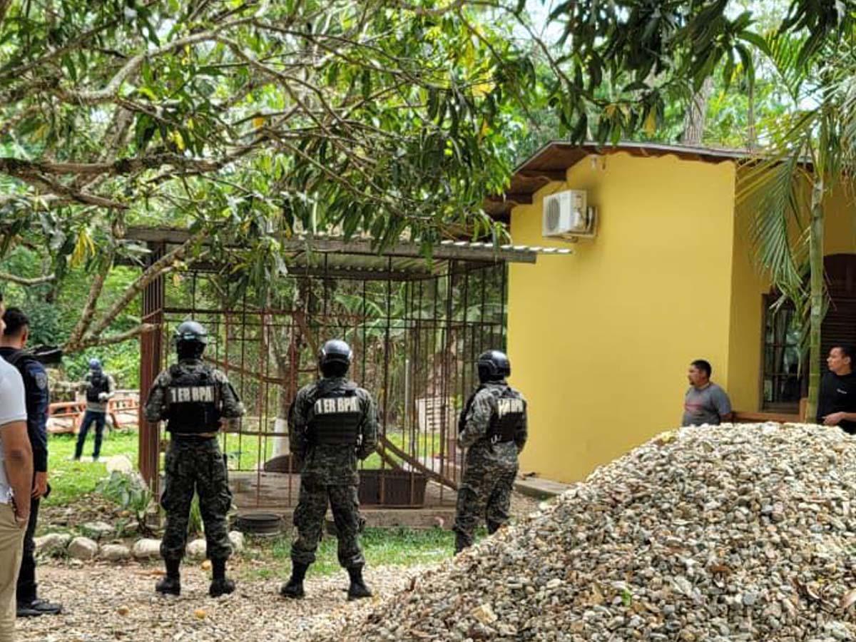 Un jaguar, un mono y una pitón tenía como mascotas hondureño detenido en Olancho