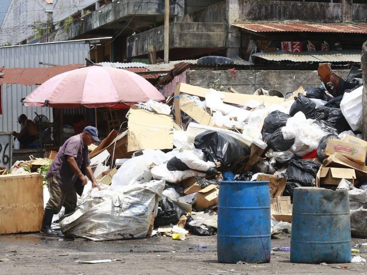 Basura “ahoga a San Pedro Sula, así lucen sus calles