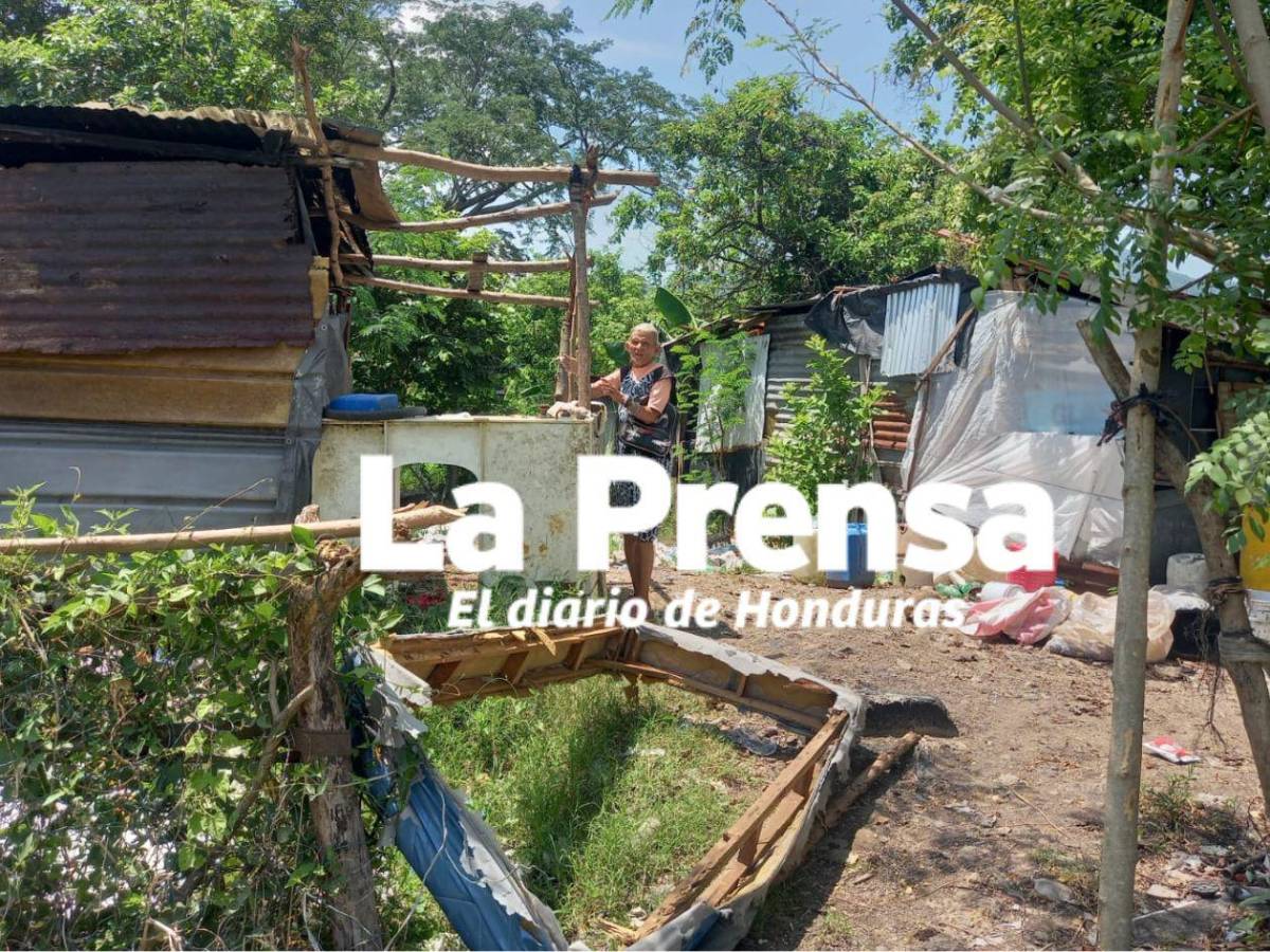 “Me levanto a las 3:00 am y me acuesto a las 10:00 pm”: la abuelita más viral de Honduras