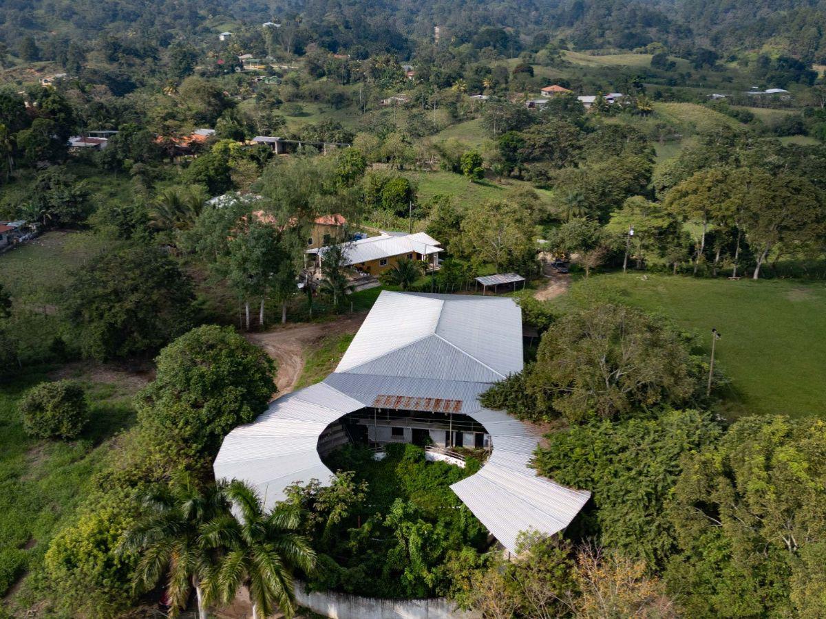 La maleza devora las mansiones de los Valle