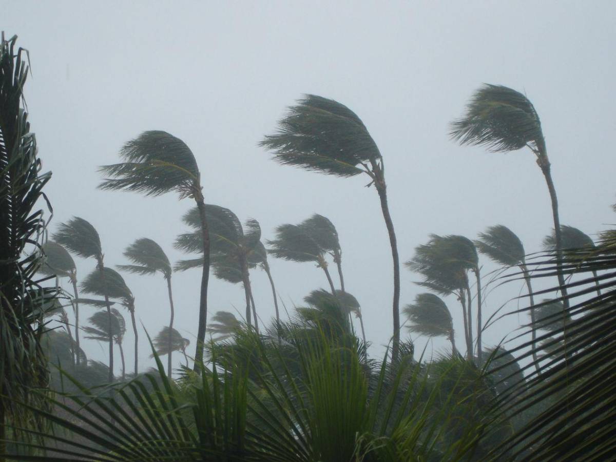 Fenómeno de El Niño ya se formó: NOAA advierte que se fortalecerá