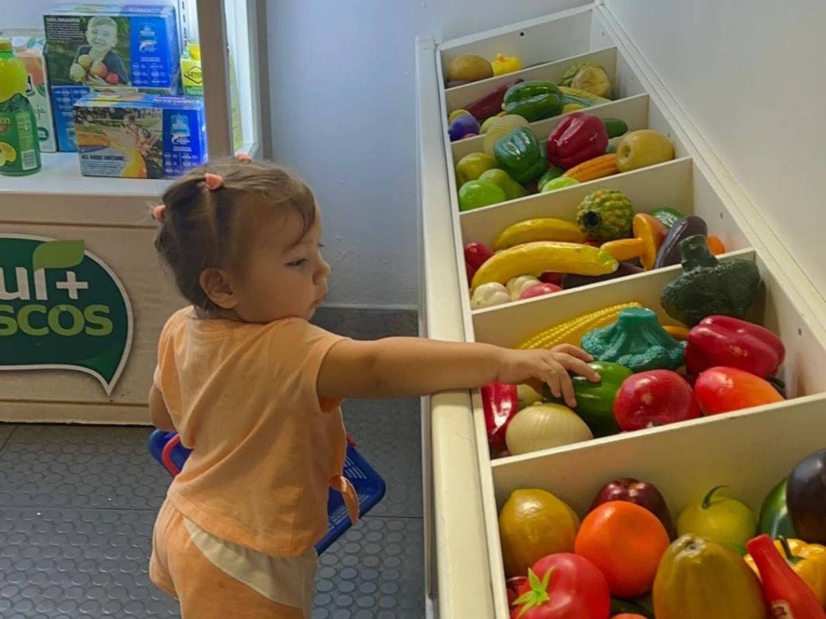 Conoce los horarios y recorridos del Museo para la Infancia El Pequeño Sula