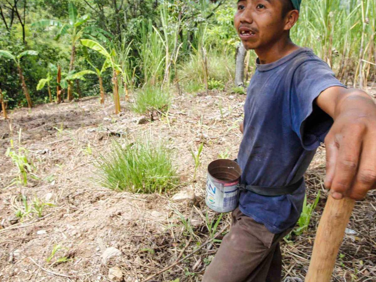 Alimentos, agua y salud: así será distribuida la ayuda para 762,000 hondureños