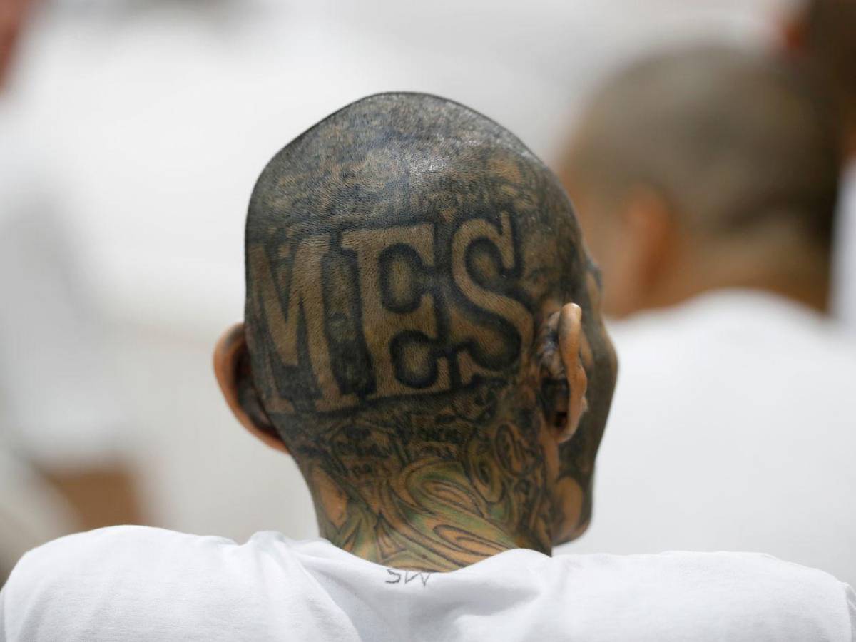 Inédito megajuicio contra más de 400 presuntos pandilleros