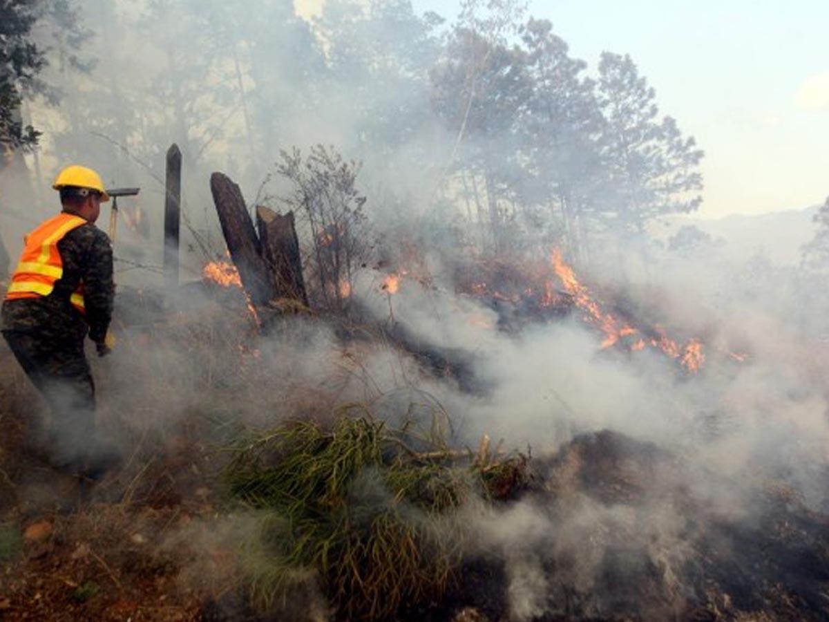 Incendios forestales dejan más de 208.000 hectáreas afectadas en Honduras