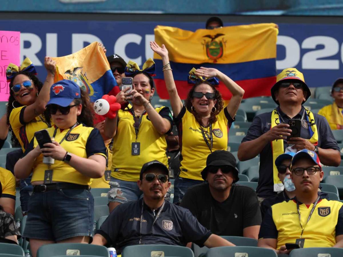 Héroe de Costa de Marfil, tristeza de Ecuador y afición, de la fiesta al drama en el Mundial