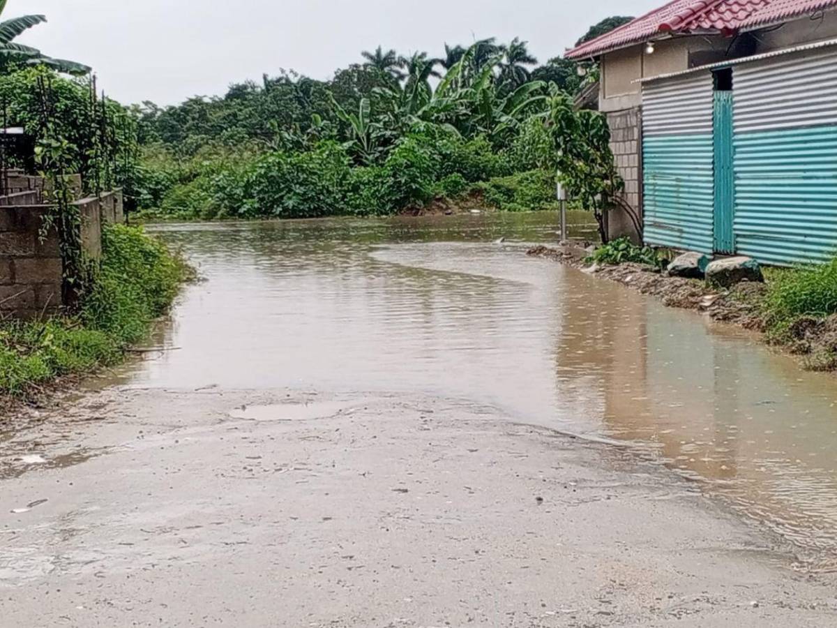 Calles convertidas en ríos: drama de 40 familias en Buena Inversión